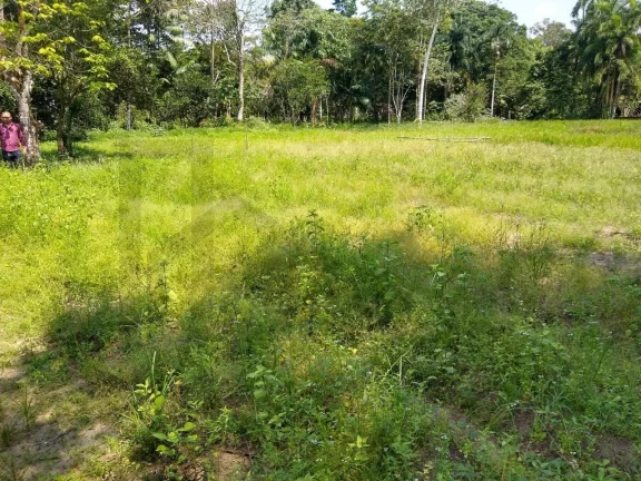 Imagem CASAL IMÓVEIS VENDE SÍTIO EM MARITUBA 53.000 M2 - ESTRADA URIBOCA - BR 316 - ALÇA VIÁRIA
