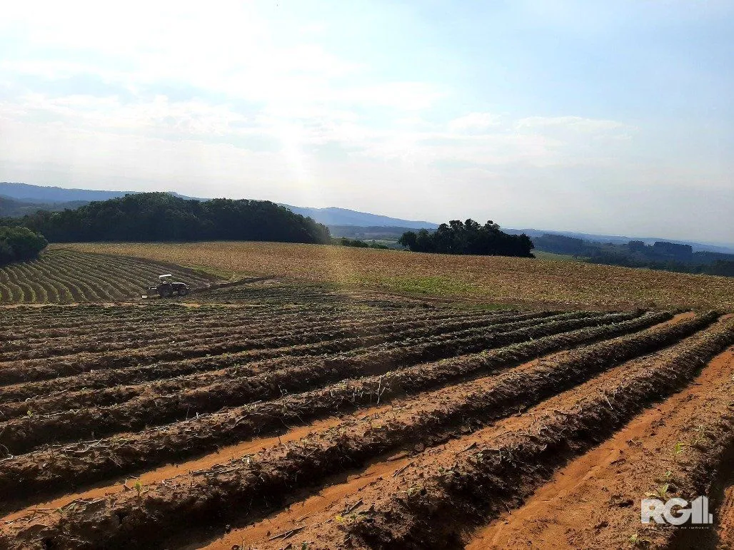 Imagem Area de terras cultivaveis