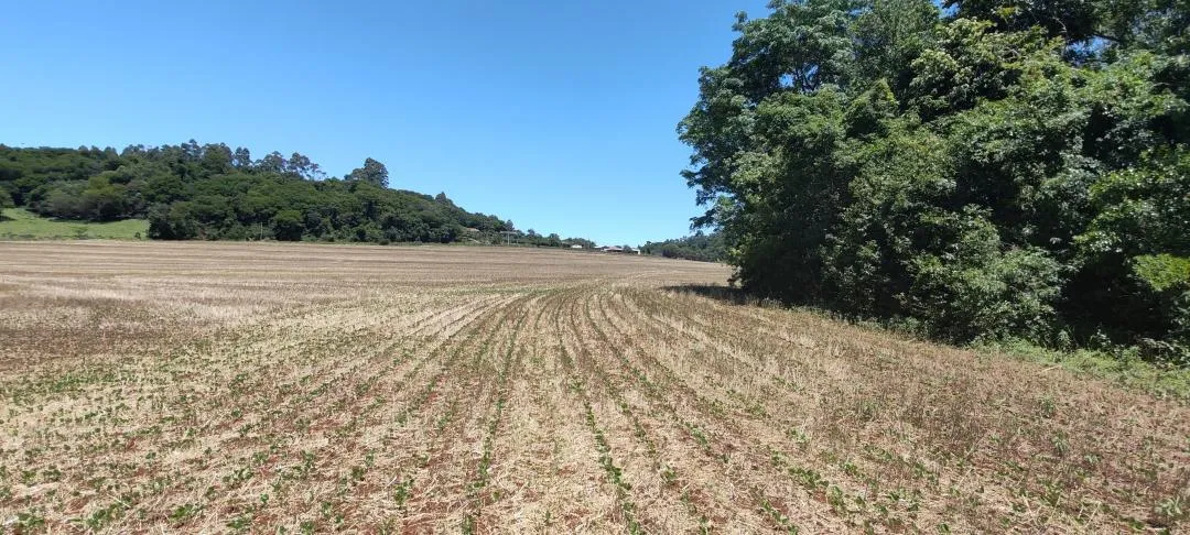 Imagem Chácara à venda em Cascavel - São Salvador - Lavoura e Rio