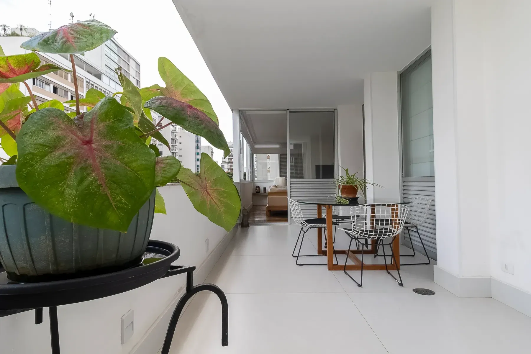 Imagem Apartamento com 3 Quartos à Venda, 270 m² em Higienópolis - São Paulo
