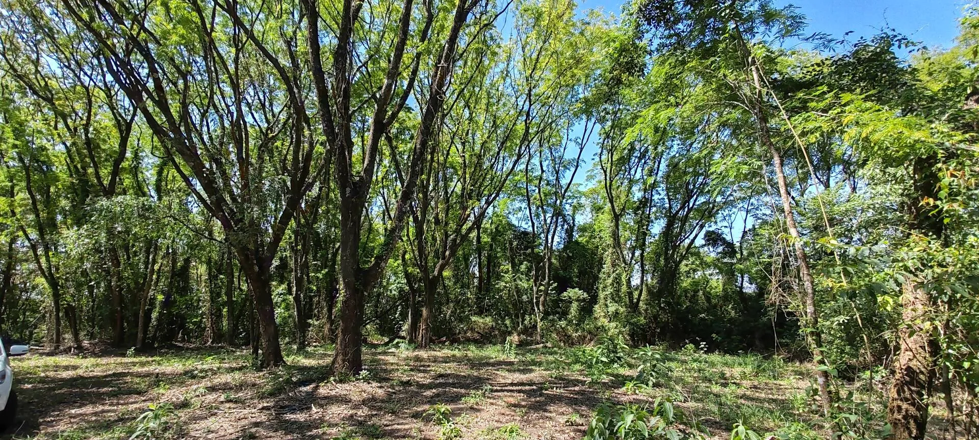 Imagem Chácara a venda em Cascavel, com 2,0992 hectare cada uma e matrícula indiviauais.