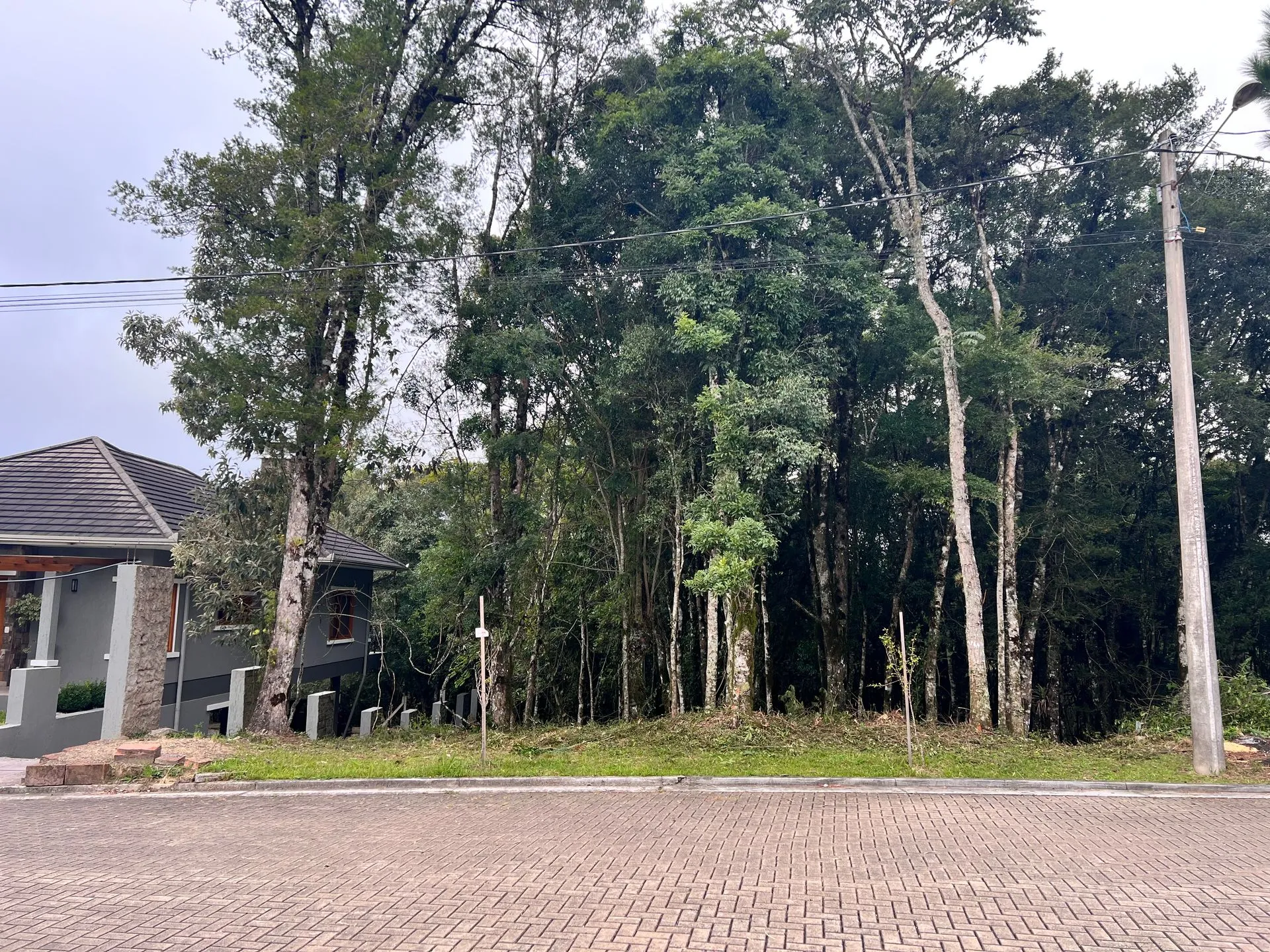 Imagem Lote à venda em Gramado, Carniel, 390m2