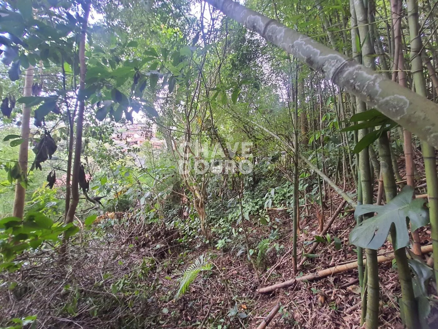 Imagem Terreno de 450m em localização central em bairro residencial