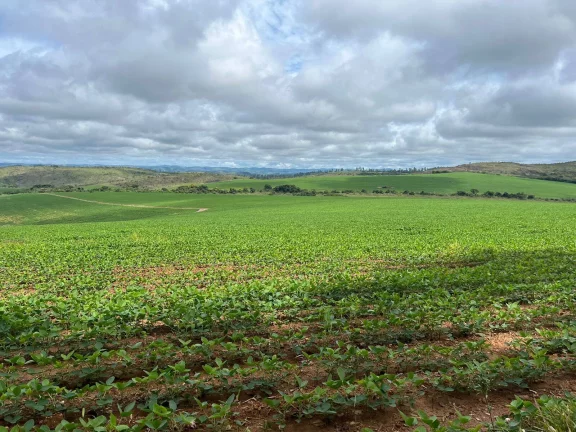 Foto do imóvel Incrível Fazenda Oliveira MG 280 hectares!