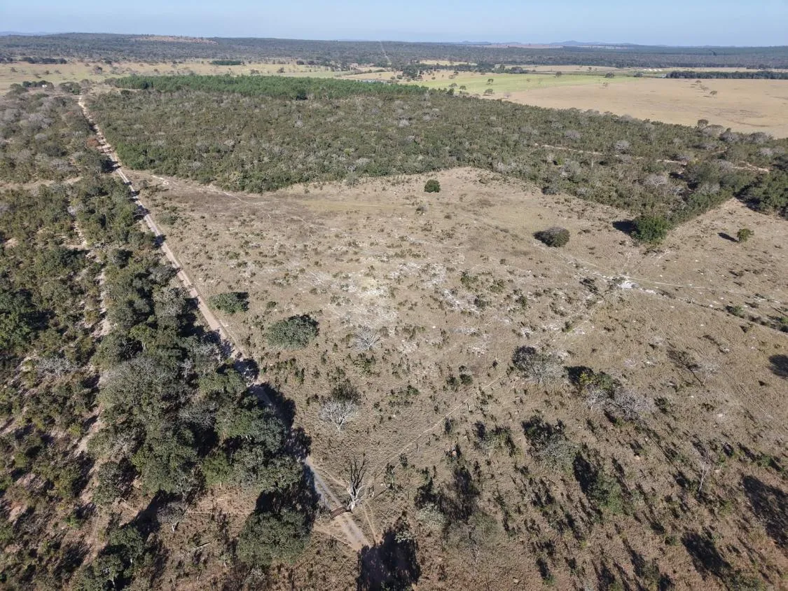 Imagem Fazenda à Venda em Papagaios/MG ? 150 Hectares