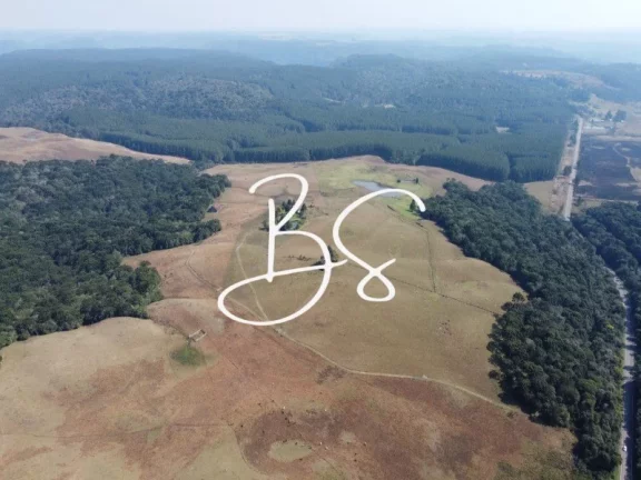 Imagem AREA RURAL em SÃO FRANCISCO DE PAULA - RS, São Francisco de Paula