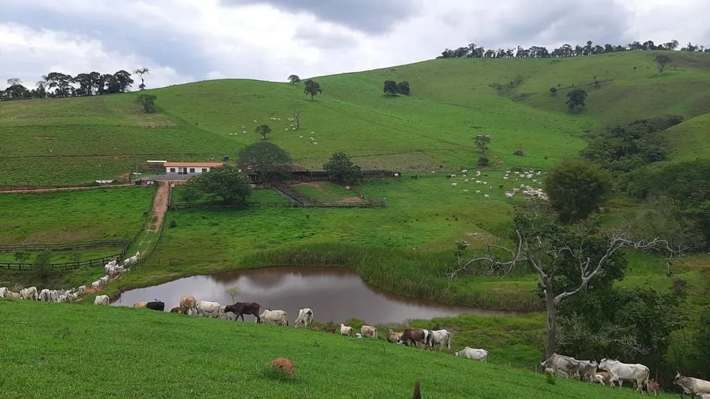 Imagem Chácara à venda 1300000M², Centro, São Lourenço - MG