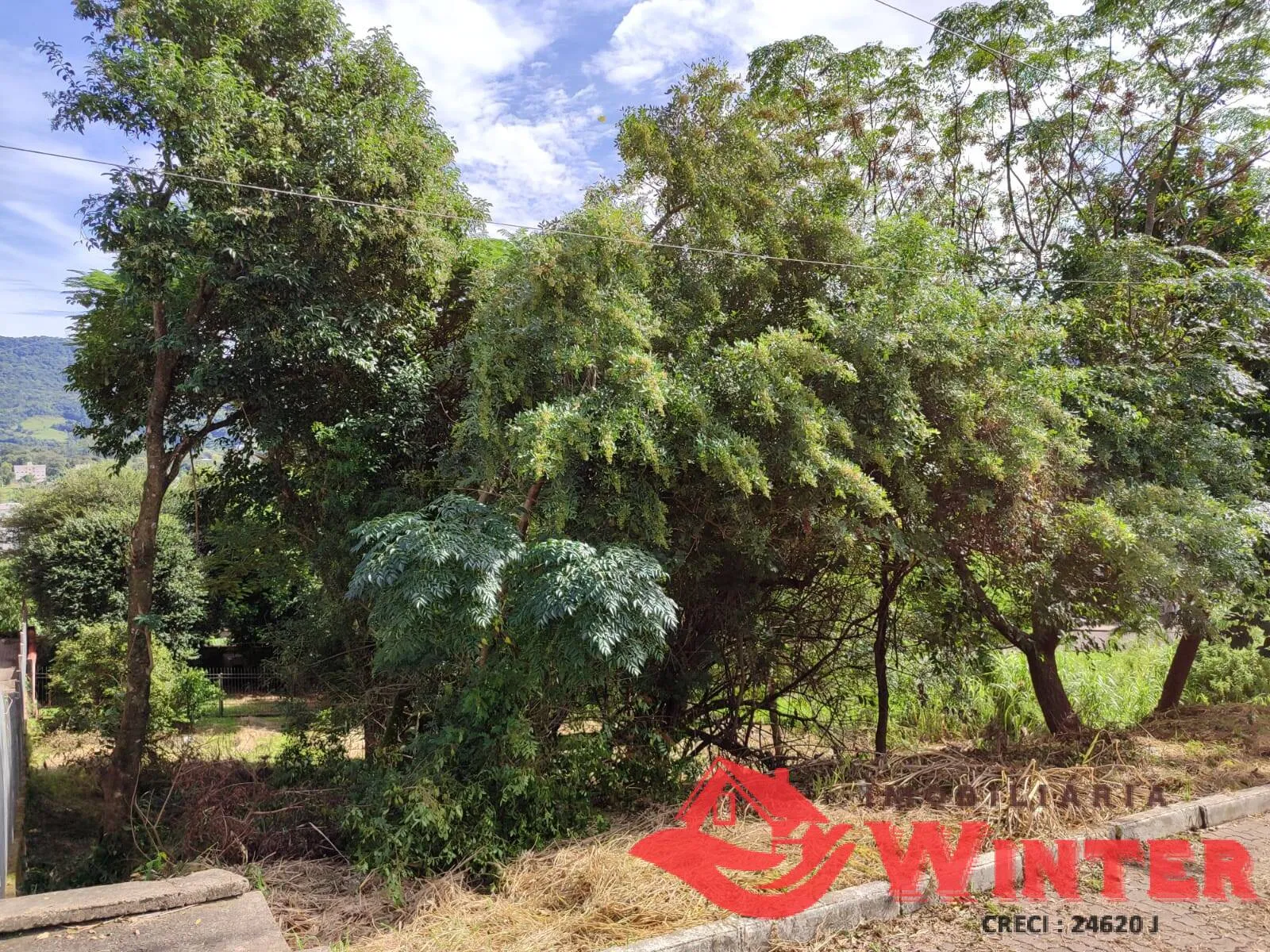 Imagem Dois terrenos com 744,00m² no bairro Matiel, Feliz.