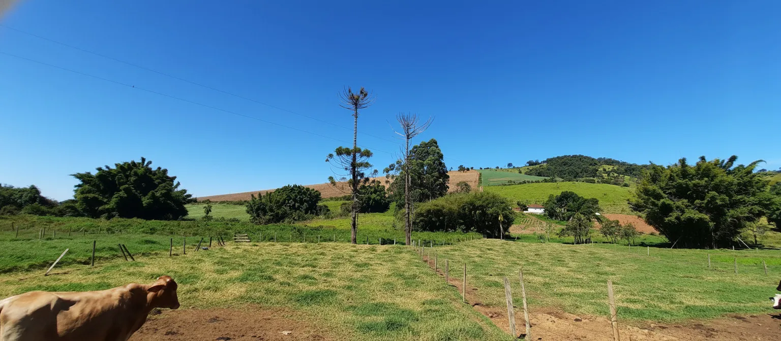 Imagem Sítio 24 m² à venda em Barreiro II, Caldas
