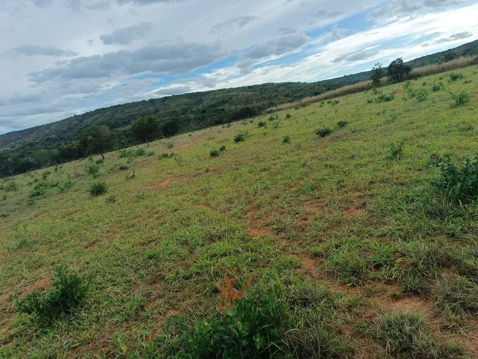 Imagem Fazenda à Venda, 247 HA em Samambaia Sul - Brasília