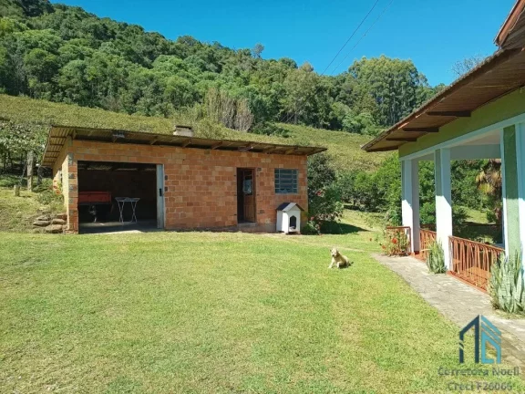 Imagem Terreno a venda, Área de 3.8 hectares em Fores da Cunha - Otávio Rocha RS