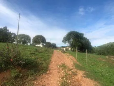 Imagem Excelente Fazenda em Funilândia/MG 112 hectares de terra
