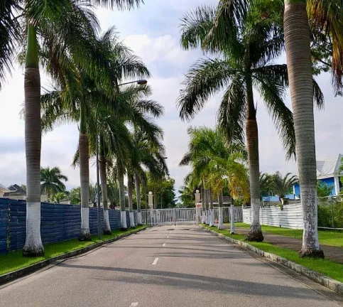 Imagem Casa com 4 Quartos à Venda, 257 m² em Barra da Tijuca - Rio de Janeiro