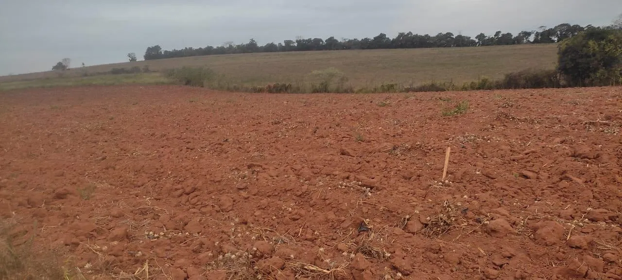 Imagem FAZENDA À VENDA - CRUCILÂNDIA (MG) 120 hectares de área total