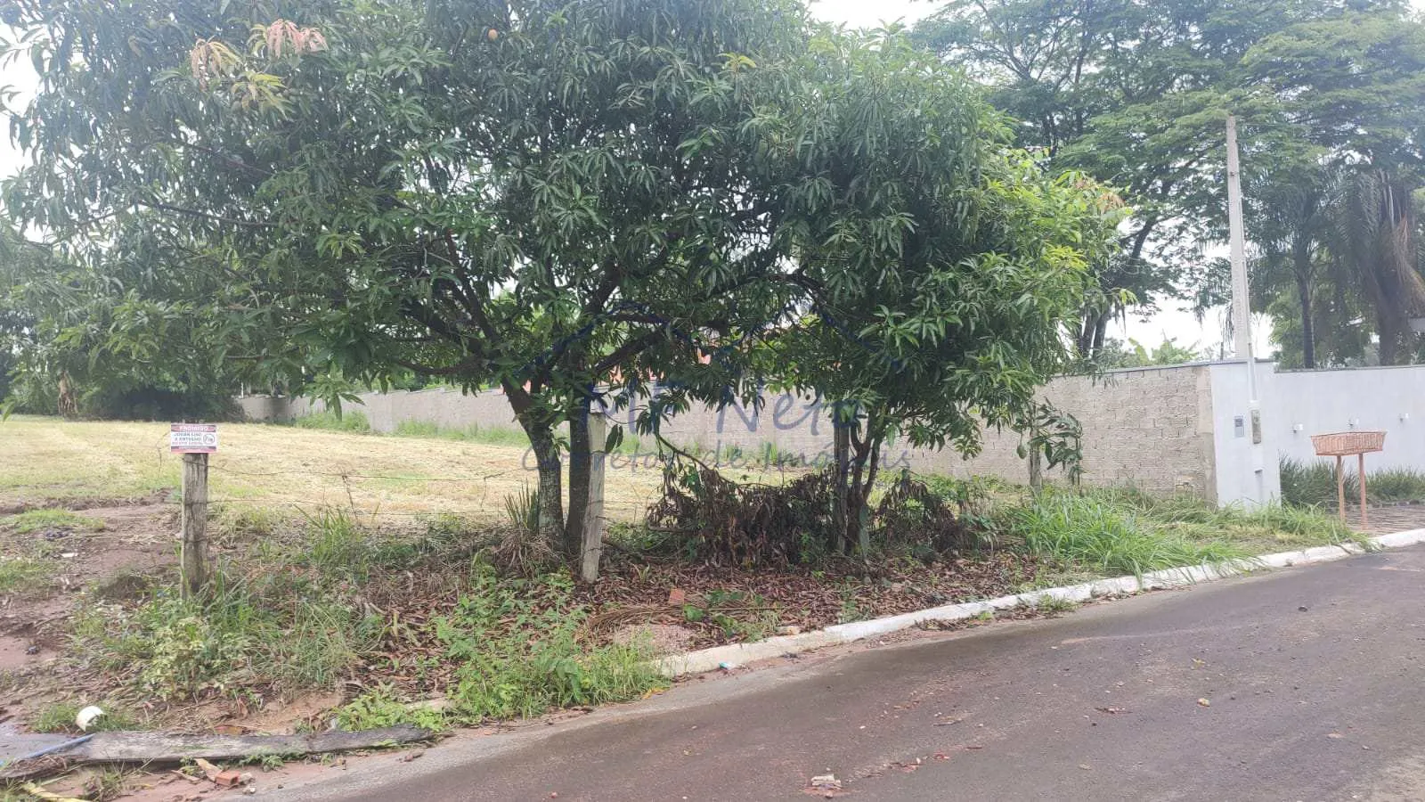 Imagem Terreno Padrão