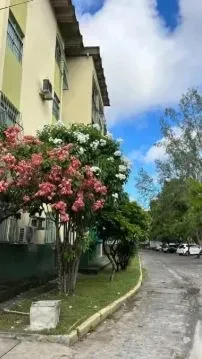 Foto do imóvel Apartamento com 3 Quartos à Venda, 75 m² em Arruda - Recife