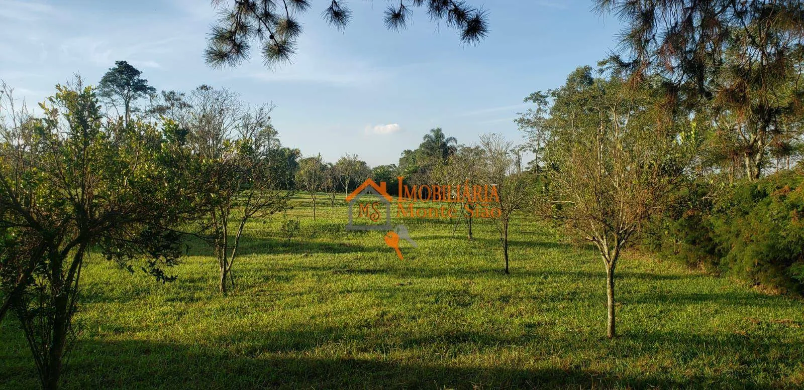Imagem Sítio com 6 dormitórios à venda, 36000 m² por R$ 2.502.750,00 - Colônia Agrícola Itapeti - Mogi das Cruzes/SP