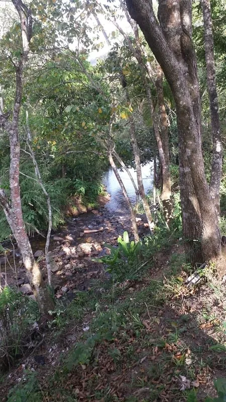 Imagem Chácara à venda 3 Quartos, 4 Vagas, 10000M², Ribeirão Grande, Pindamonhangaba - SP