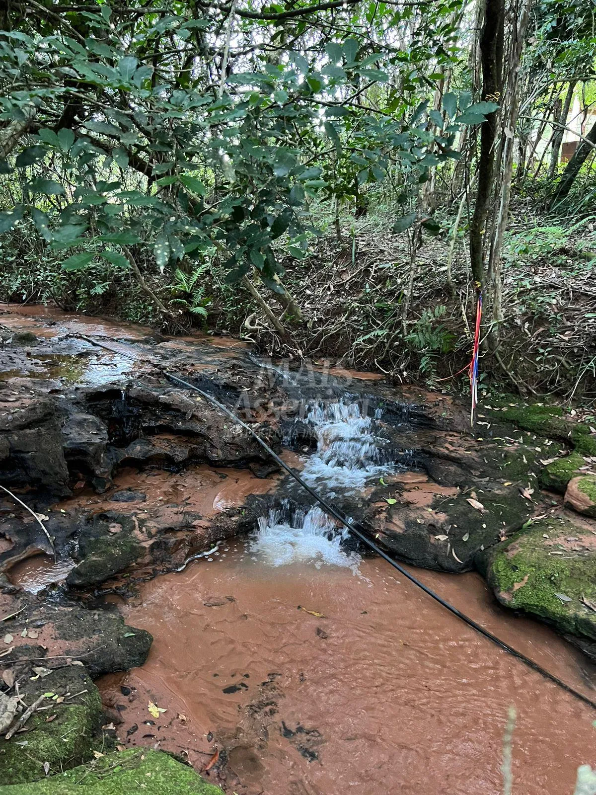 Imagem Chácara de 10 hectares para venda em Lomba Grande, Novo Hamburgo