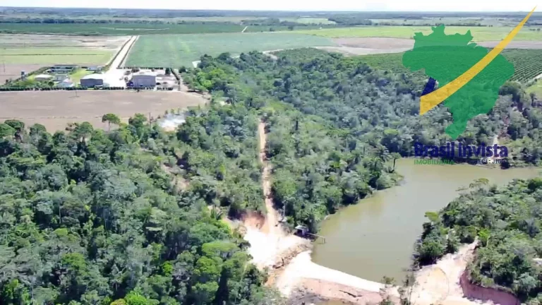 Imagem FAZENDA COM EXCELENTE PRODUÇÃO PRÓXIMA A PORTO SEGURO