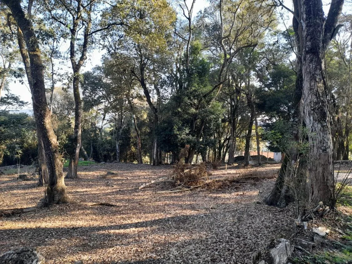 Imagem TERRENO EM CONDOMÍNIO -RESSACA- IBIUNA