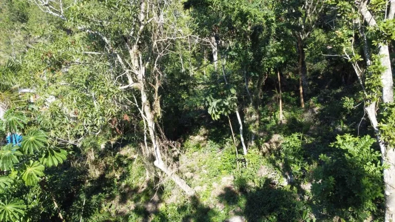 Imagem Terreno à Venda em Garopaba-SC, Praia da Gamboa, 973,63 m² de Área com Vista Mar!