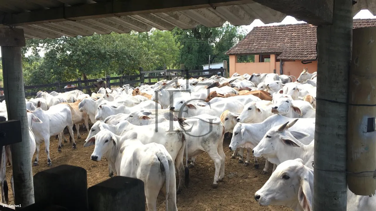 Imagem Fazenda para Venda em Araruama, São Vicente