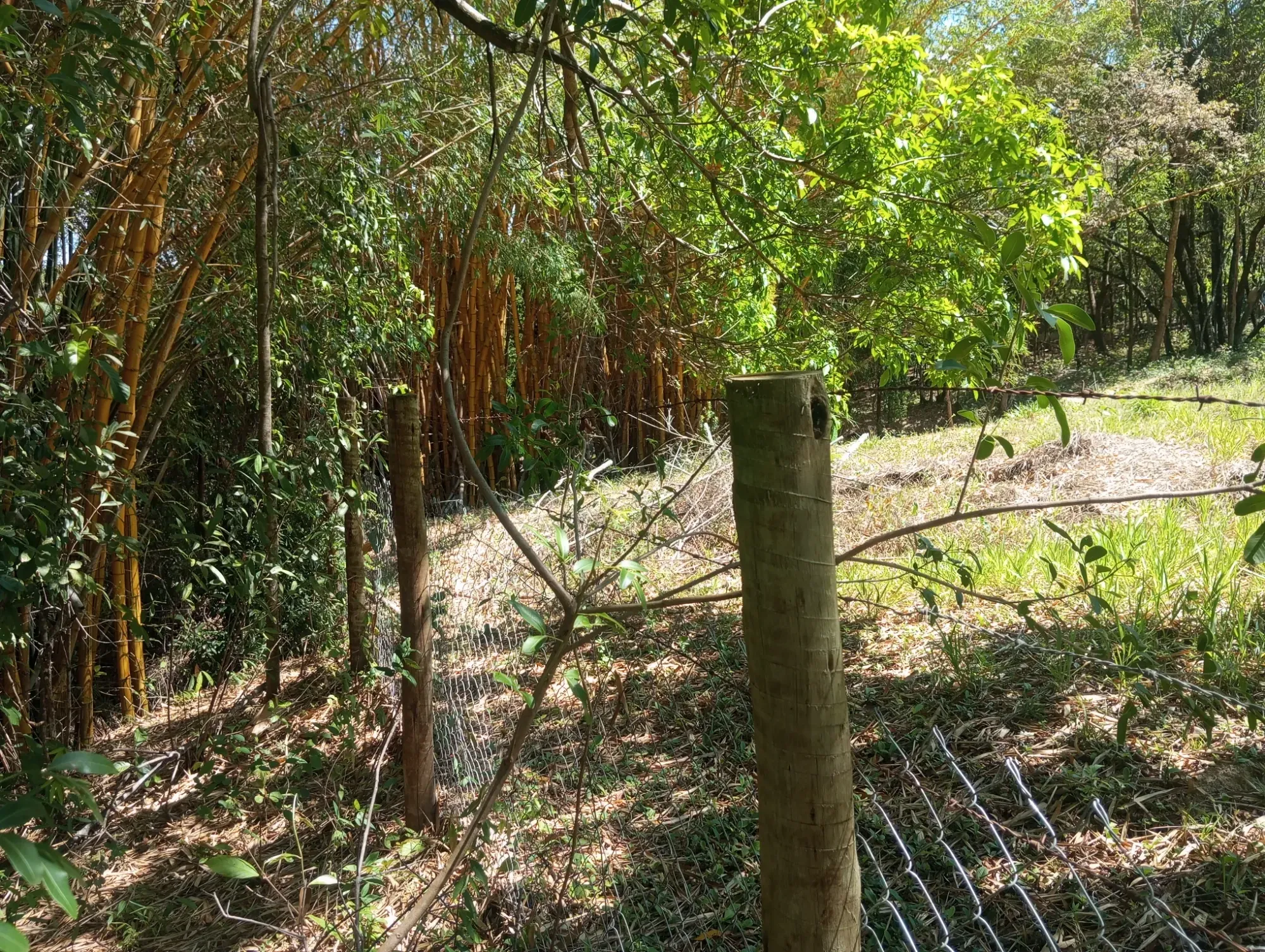 Imagem Chácara com 2 Quartos à Venda, 34.000 m² em Ravena - Sabará