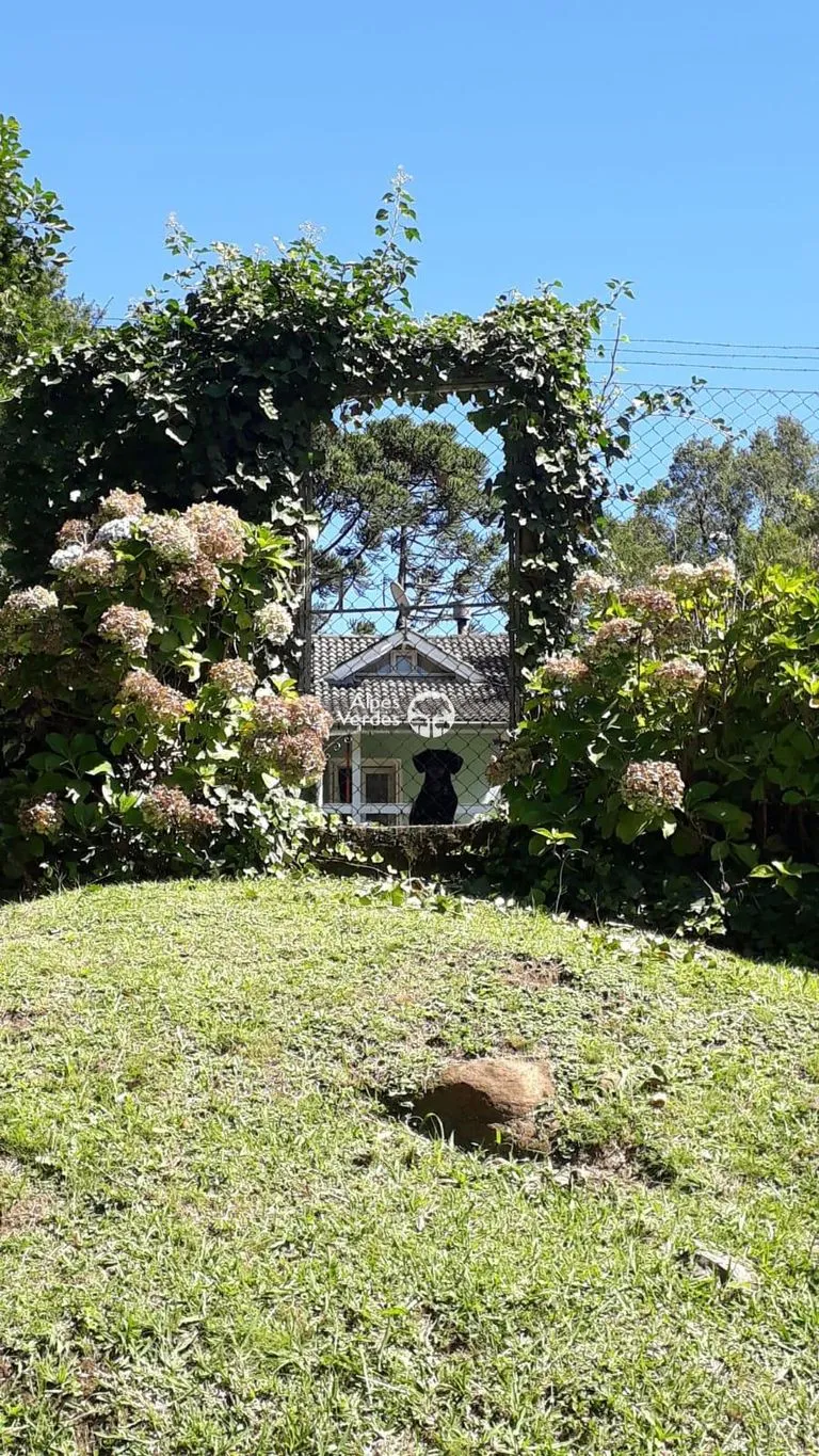 Imagem Casa à Venda em Eletra, São Francisco de Paula - RS