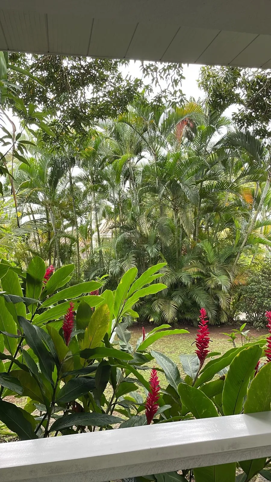 Imagem Casa no condomínio Real Residence para venda com 3 quartos, sendo 1 suíte, 153m2