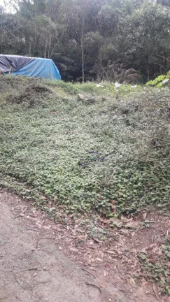 Imagem alugo ou vendo terreno 2.200 metros km 26 da Rdovia Raposo Tavares