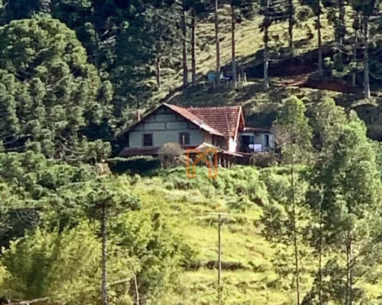 Imagem Fazenda com 4 dormitórios à venda de 303 hectares - Zona Rural - Delfim Moreira/MG