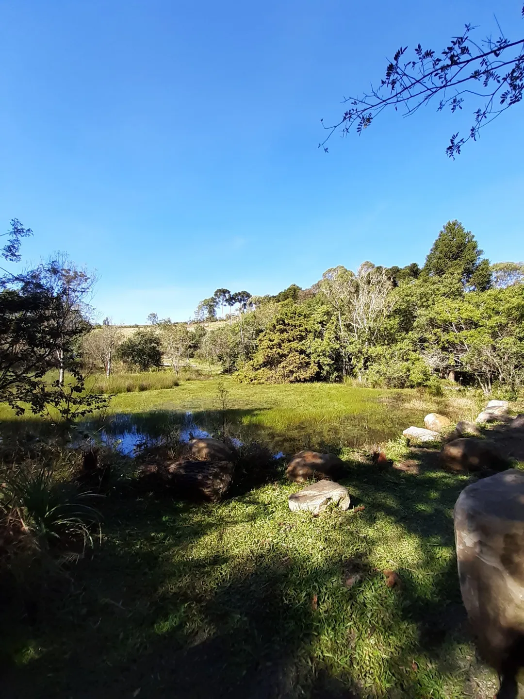 Imagem Lote à venda em Gramado, Portico, 652.39m2
