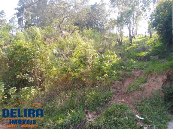 Imagem Terreno à venda em Terra Preta com fácil acesso, de 1.040m²