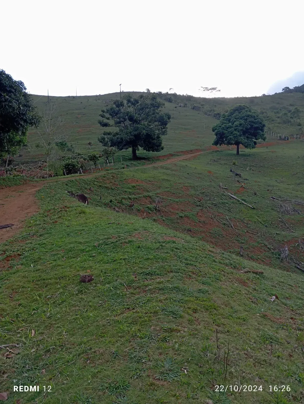 Imagem Fazenda à Venda, 300.000 m² em Ibirataia - Ibirataia