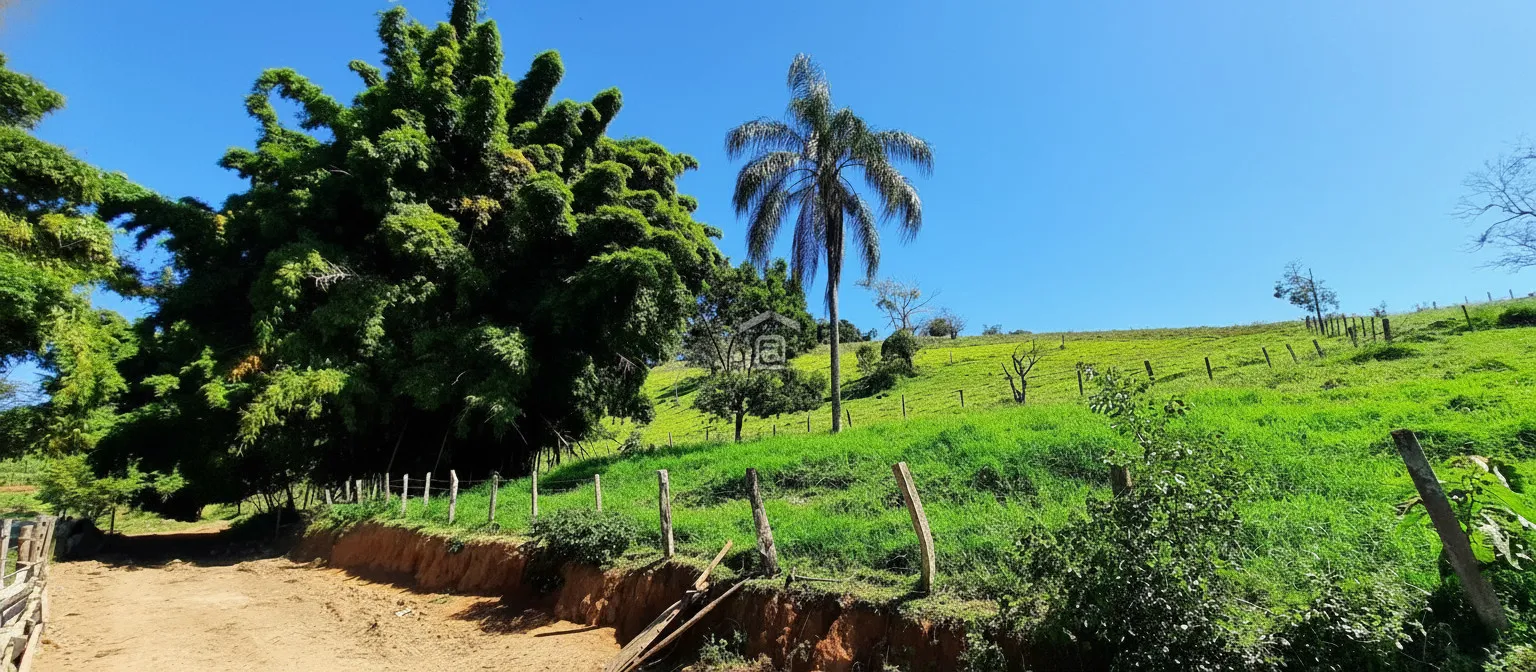Imagem Sítio 24 m² à venda em Barreiro II, Caldas