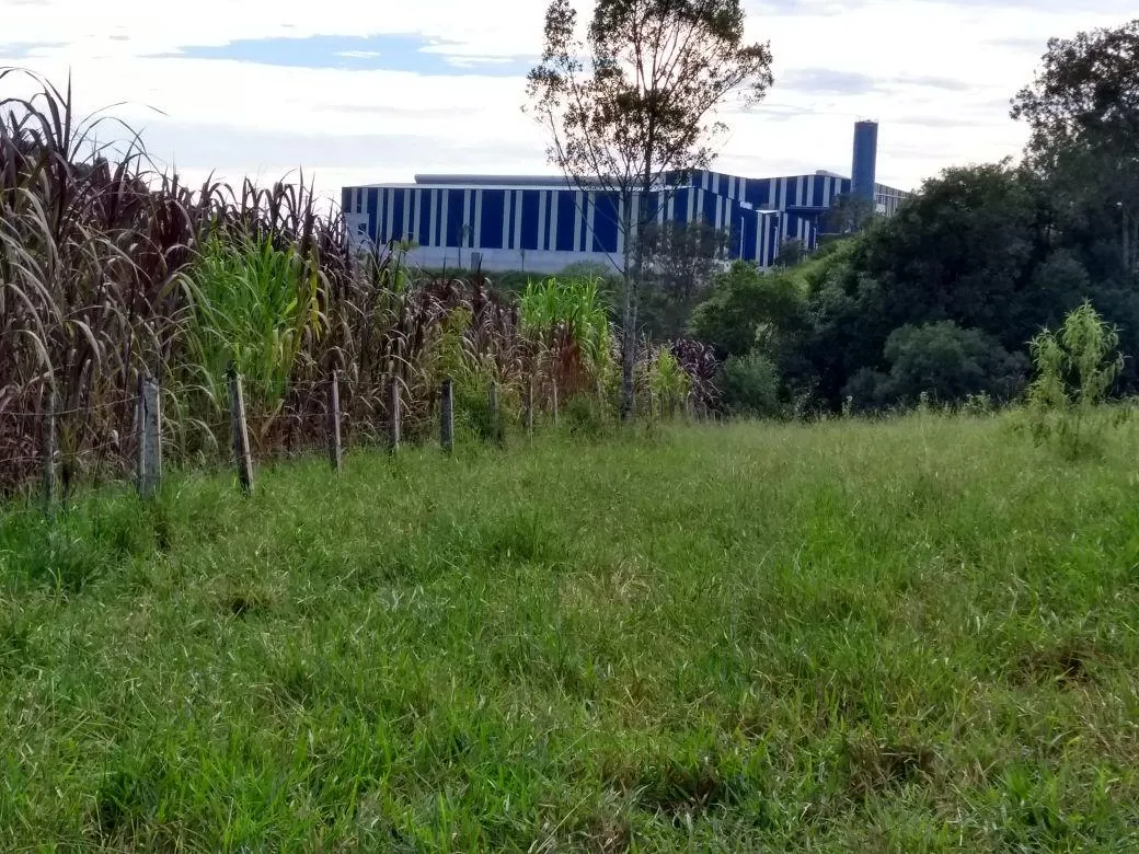 Imagem SITIO - RODOVIA ROMILDO PRADO