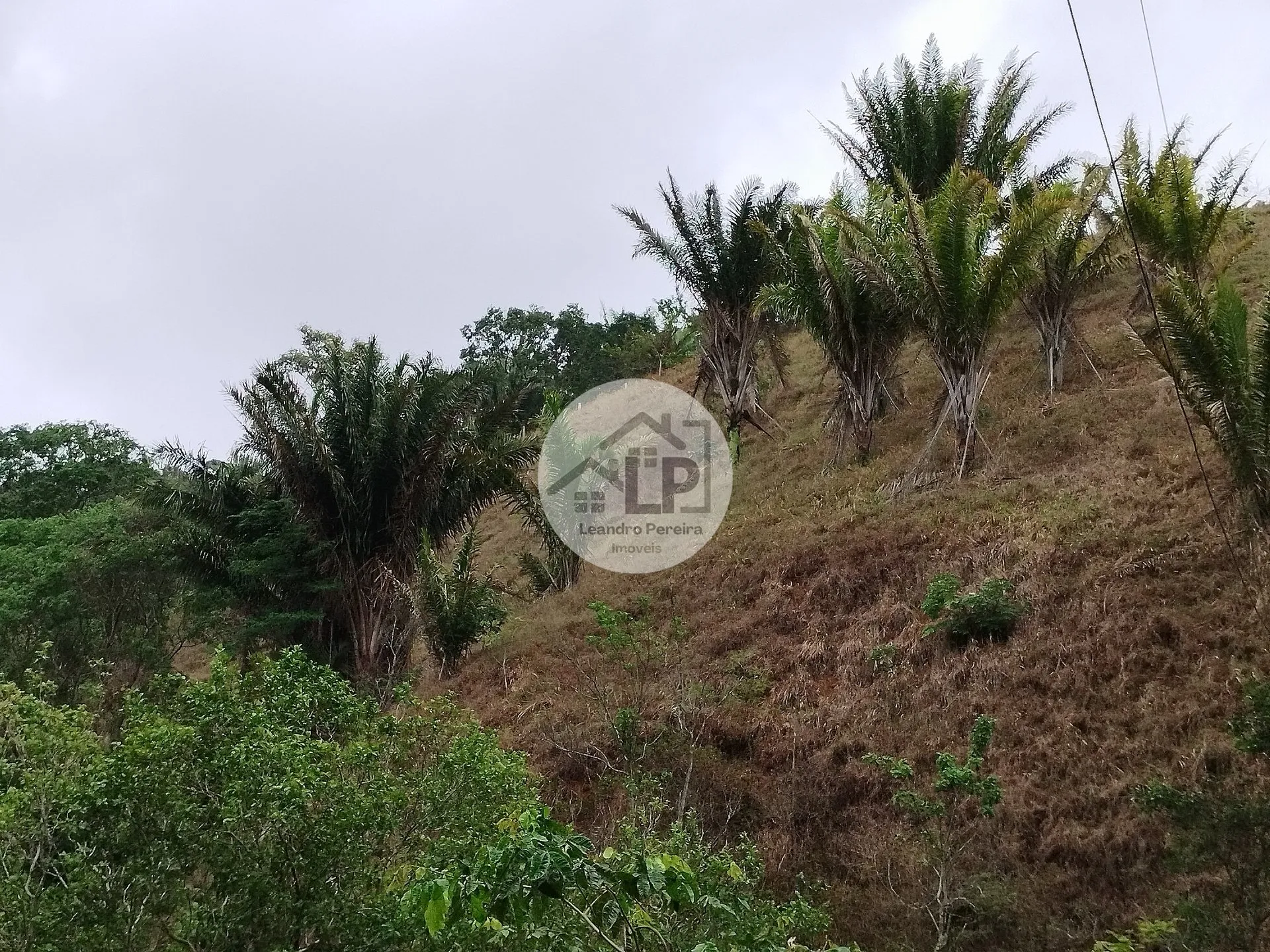 Imagem Lote/Terreno de 1440m² no bairro Caiçara, em Piraí