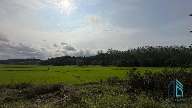 Imagem Terreno a venda 297 mil m2 em ótima localização em Guaramirim SC