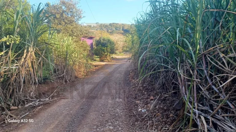 Imagem Chácara para Venda em Concórdia, Área Rural de Concórdia, 4 dormitórios, 1 suíte, 4 banheiros, 2 vagas