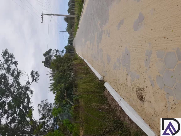 Foto do imóvel Excelente terreno na Barrinha em Estrada geral