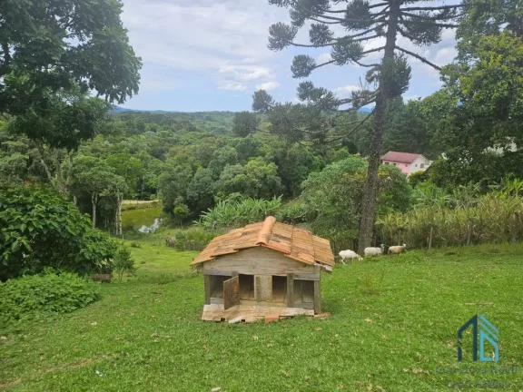 Imagem Chácara 04 casas, um comércio, tanque de peixes, ótimo investimento em QUATRO BARRAS PR
