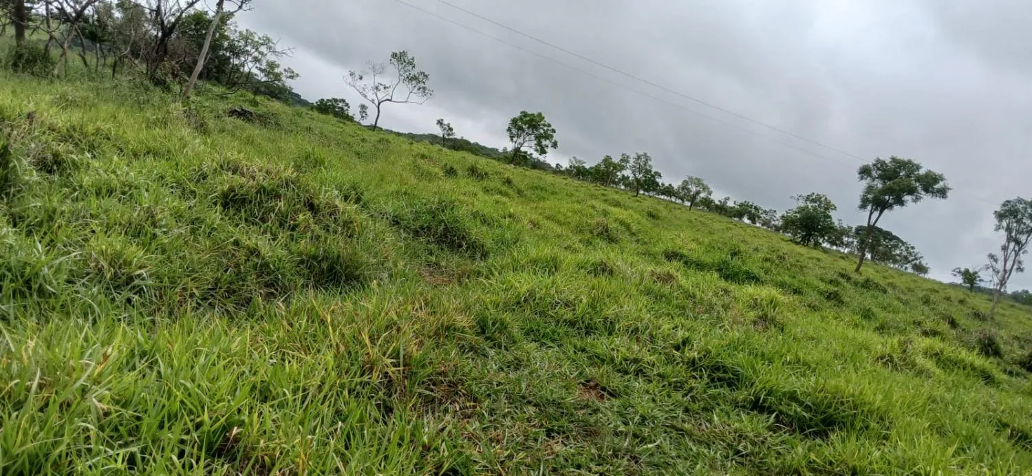 Imagem SÍTIO ESPETACULAR À VENDA EM PASSA TEMPO/MG -- 5,9 hectares de terra