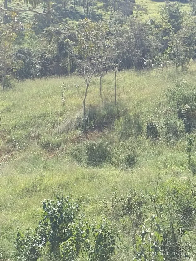 Imagem Ótima Oportunidade em Itaguara/MG: Terreno de 6 Hectares no Povoado Boa Vista