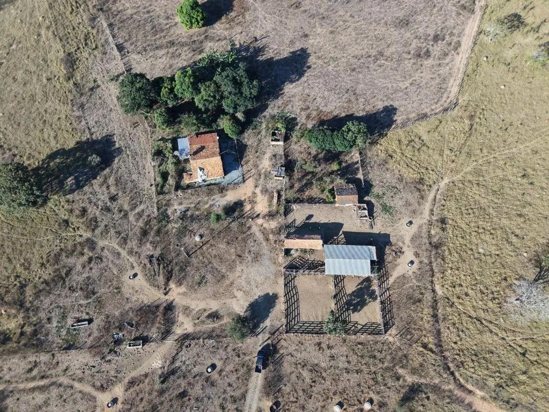 Imagem Fazenda à Venda em Papagaios/MG ? 150 Hectares