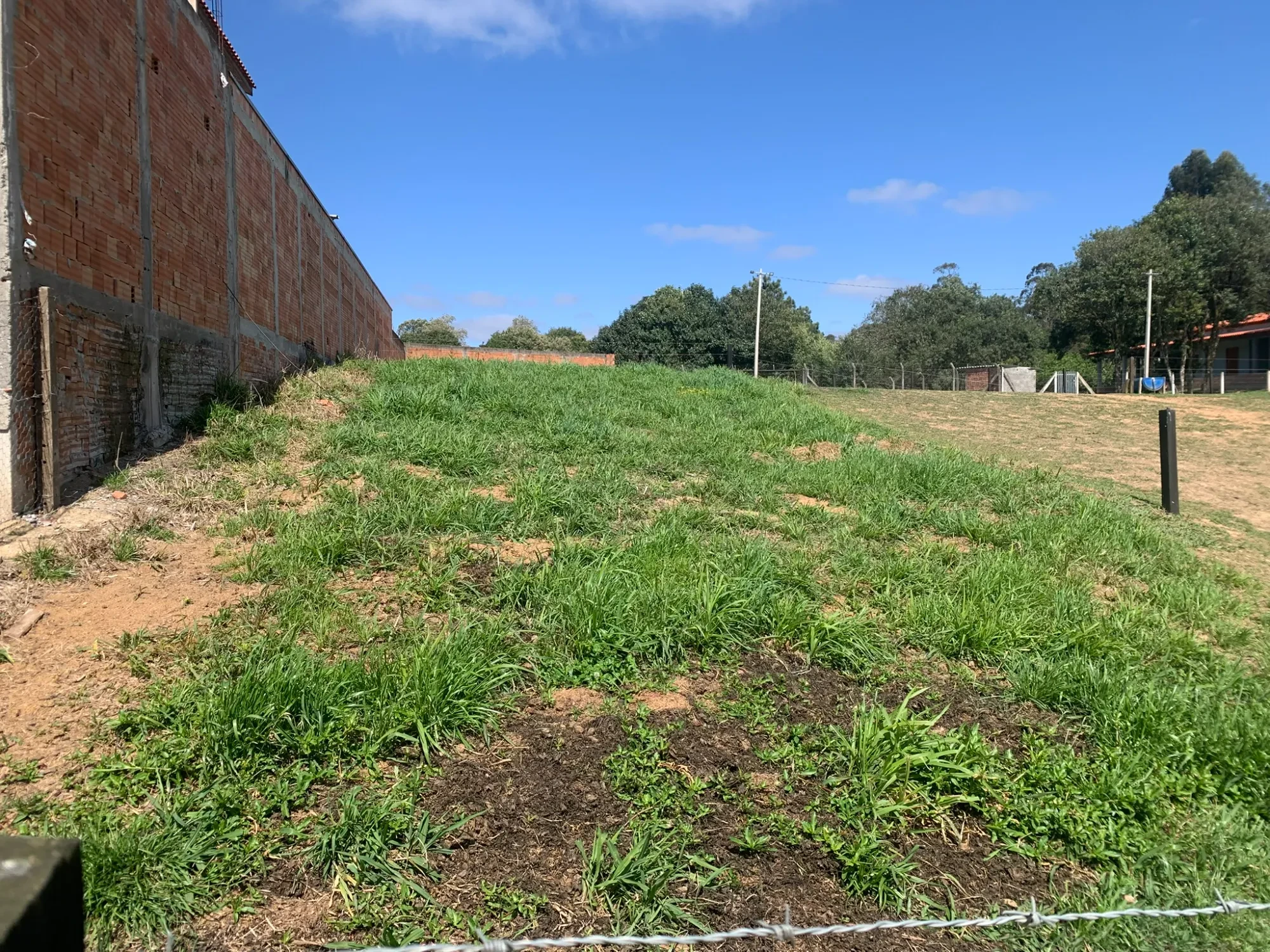 Imagem Chácara com 3 Quartos à Venda, 5000 m² em Colonia Marcelino - São José dos Pinhais