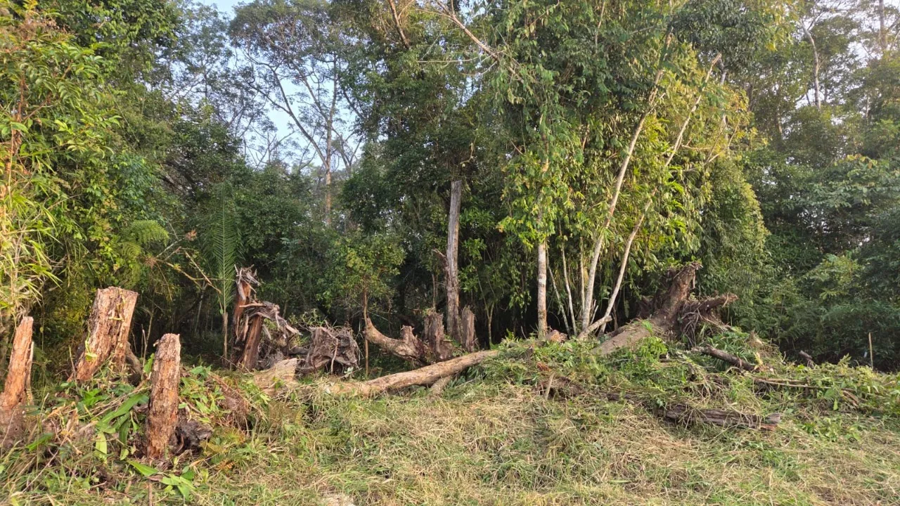 Imagem Exclusivo Mova
Terreno com área total de 642 m², localizado na Rua 2020, nº 971, bairro Continent...