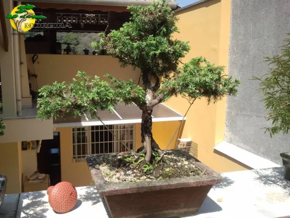 Imagem CASA TÉRREA COM 125M² CONSTRUÍDA AO LADO DO HORTO FLORESTAL