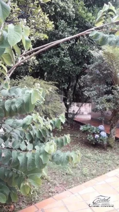Imagem Terreno Residencial à venda, Chácara Canta Galo, Cotia - .