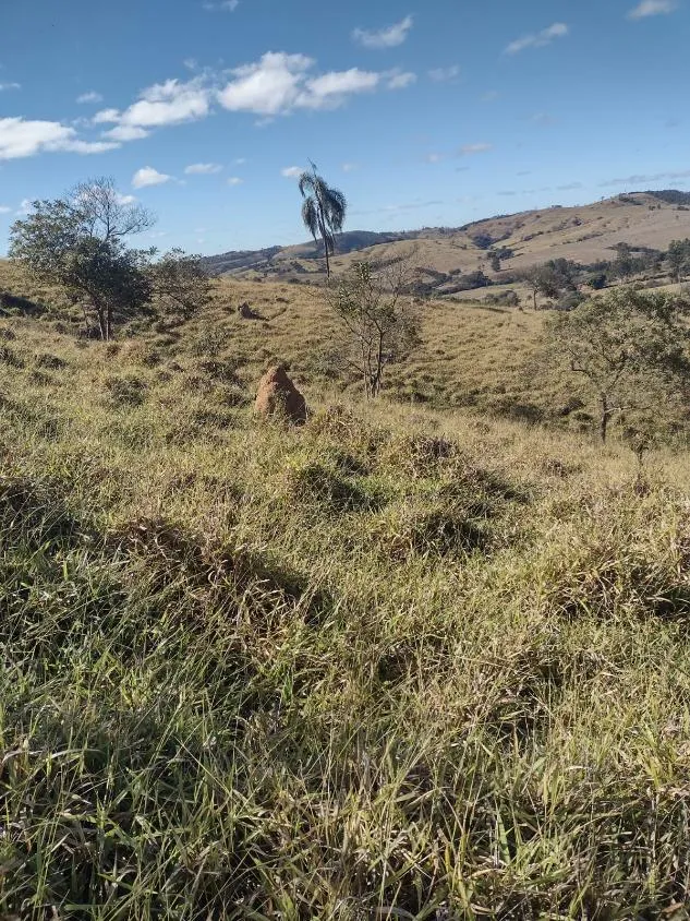 Imagem Vendo terreno em Crucilândia com 48 hectares de terra